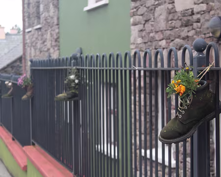 IMG_0475 ... pour des courses lointaines, dans ce morne horizon se sont évanouis ???