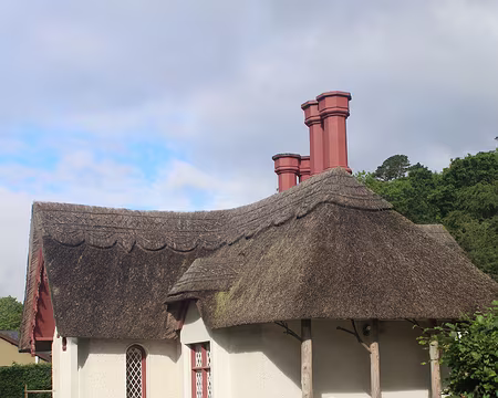 IMG_0560 J12 - Killarney Parc national