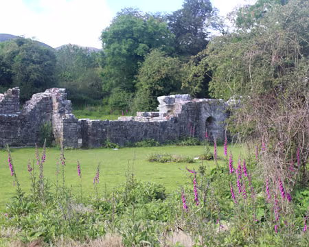 IMG_0571 Ruines sur Innisfallen Island (7è s)