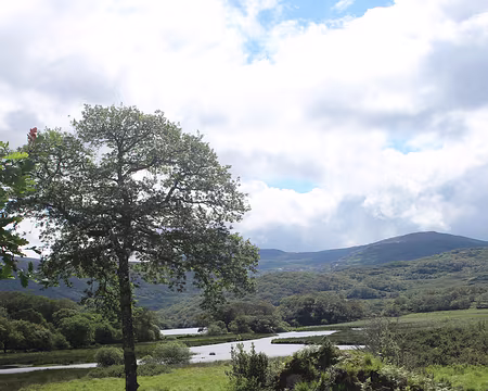 IMG_0606 Retour ... à pied quand même !