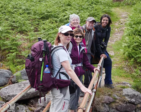 P1050315 Ça tamponne…