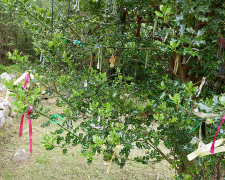 P1050318 Non, nous ne sommes pas au Népal.