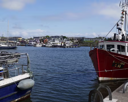P1050366 Le port de Dingle sous le soleil… pour l’instant.