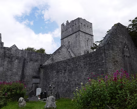 P1050469 Muckross Abbey (1448).