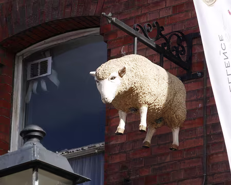 P1050549 Si l’on jouait à mouton vole ?