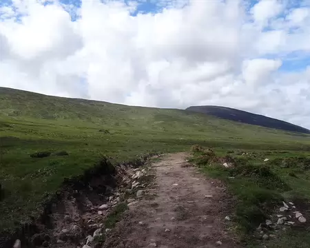 DSC07724