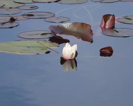 DSC07726