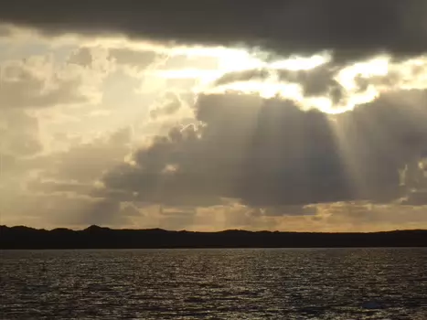 Joël Joël R, détail sortie