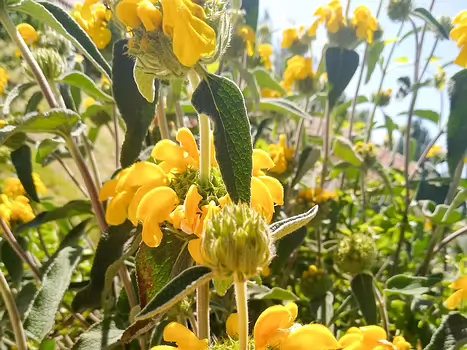 2019-05 Mont Ventoux