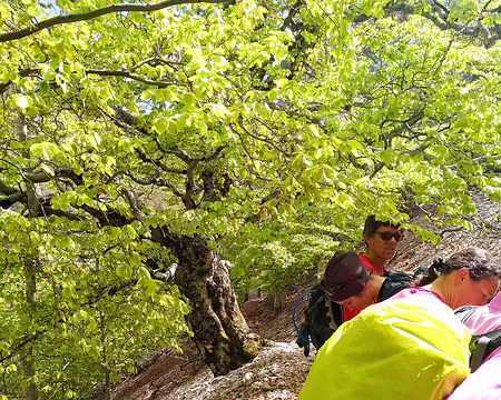 20190511-15h14m06s-Verticalité relative-V3