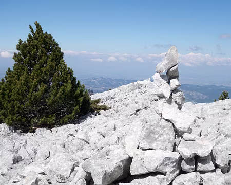 20190512-11h23m54s-DSC00416-V3