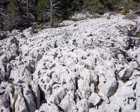 20190512-11h29m05s-DSC00419-V3 De la dentelle de pierre