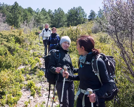 20190512-13h11m28s-DSC00433-V3