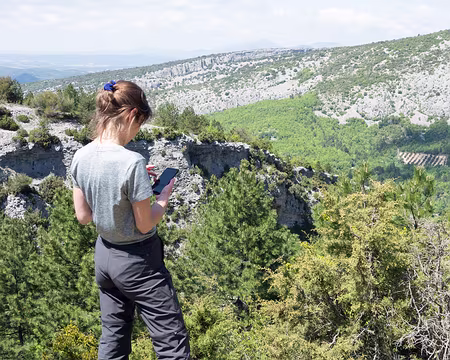 20190512-14h50m51s-DSC00440-V3 Enfin un peu de réseau