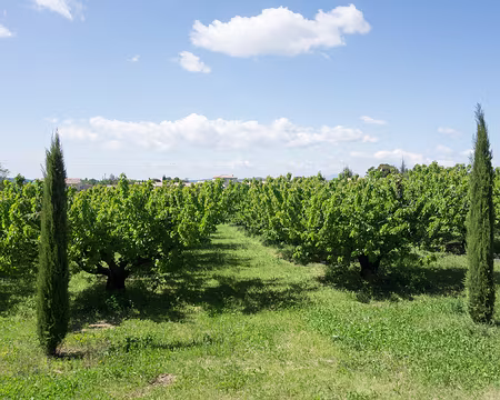 20190512-16h07m16s-DSC00443-V3