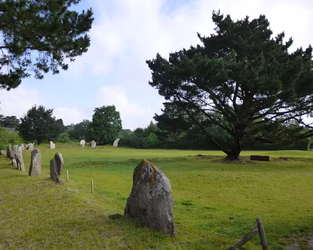 P1100803 ...de l'enceinte mégalithique de Kergonan.