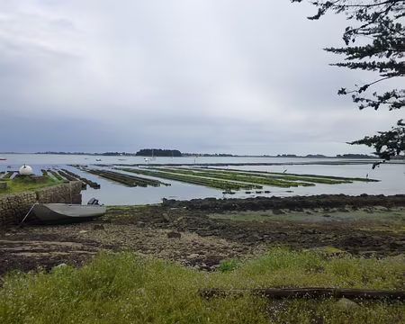 P1100831 Ostréiculture