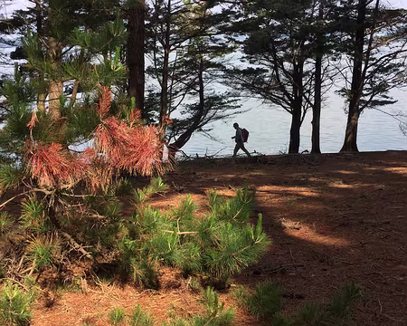 IMG_0871 Thierry le marcheur…