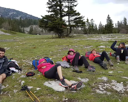 2019_05_25-13_46_37 Échappés du cirque !