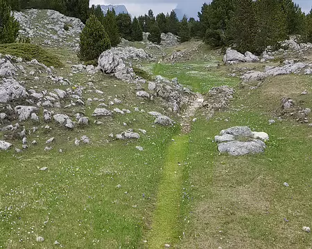 2019_05_25-15_12_35 Le sentier des Elfes