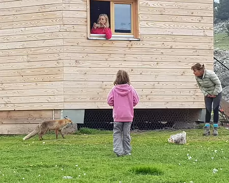 2019_05_25-17_27_52 La visite du renard