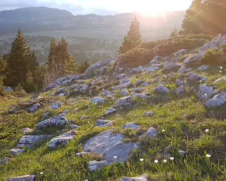 2019_05_25-20_30_30 Soleil couchant rasant