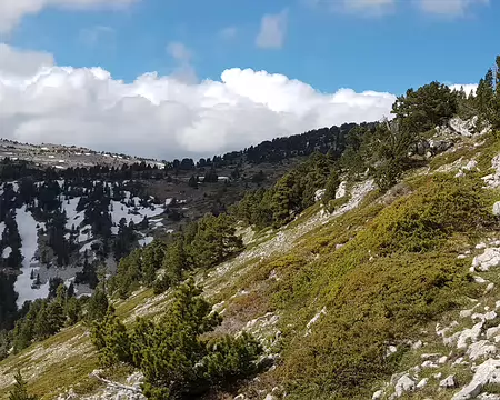 2019_05_26-10_26_46 Panorama