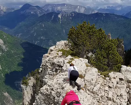 2019_05_26-14_36_56 Jeunes bouquetins apprenant à vaincre le vertige