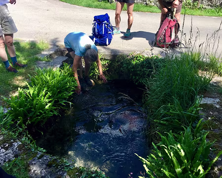 IMG_4911 Une eau limpide et excellente !