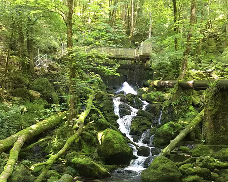 IMG_4941 Source de la Cuisance