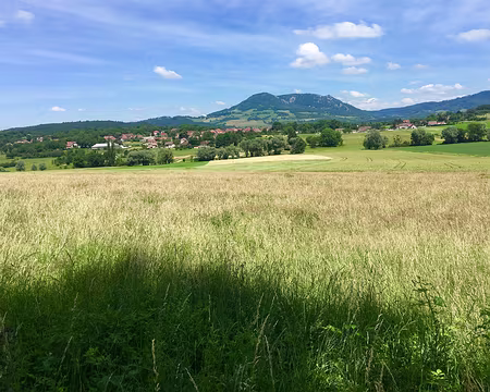 IMG_4950 FIn du séjour