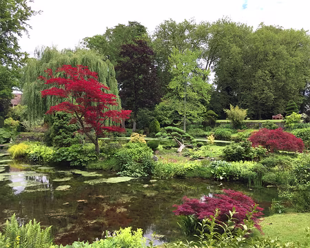 IMG_0974 Le jardin japonais.