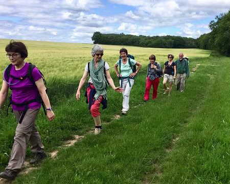 IMG_0977 Retour à belle allure à travers champs.