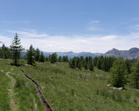 113_4V1A4710 Irrigation