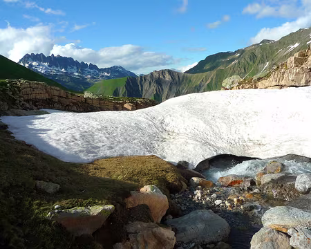 P1170196 Peu d'amateurs pour la salle de bain !