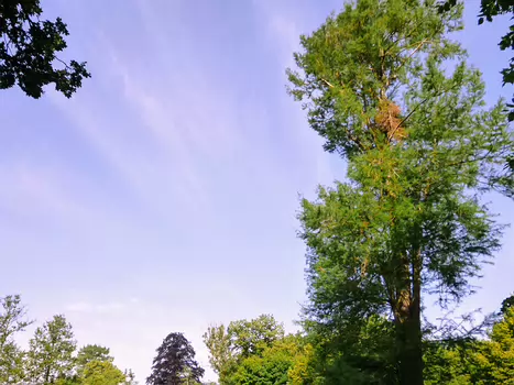 2019-06 Méry-sur-Oise