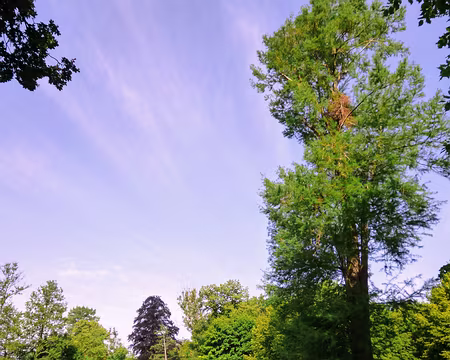 P1110176 Parc du château de Méry-sur-Oise