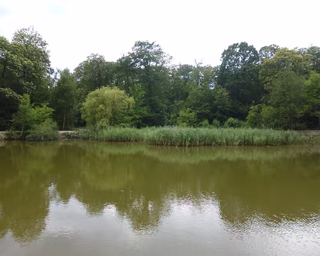 P1110184 Etang Godard, Forêt de Montmorency