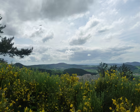 P1090868 Au sommet du Suc des Ollières (1186 m) près d'Yssingeaux