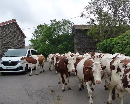 P1090949 Intriguée par notre véhicule de location !!