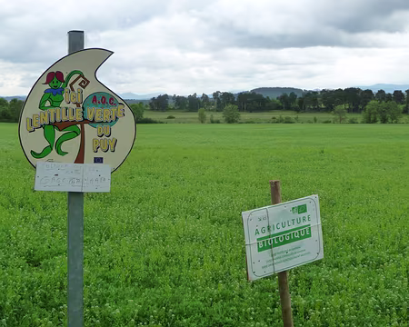 P1090961 Une autre AOP de la région : la lentille du Puy
