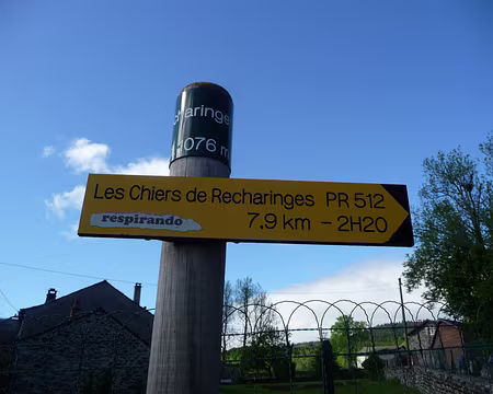 P1090965 Une balade dans le Meygal