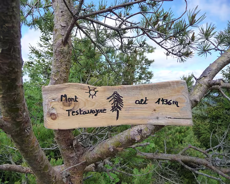 P1090973 Son sommet, le Testavoyre (1436 m)