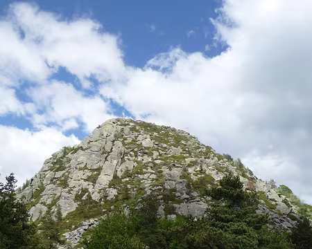 P1090990 Le Mont Gerbier de Jonc si connu pour la(les) source(s) de la Loire...que nous ne verrons même pas ...
