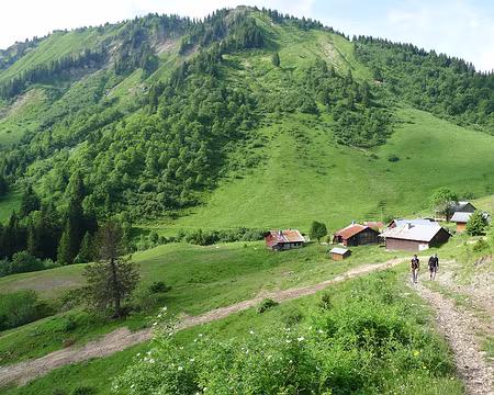 26 Les chalets des Follys.