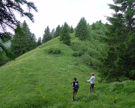 28 En vue du Paradis.