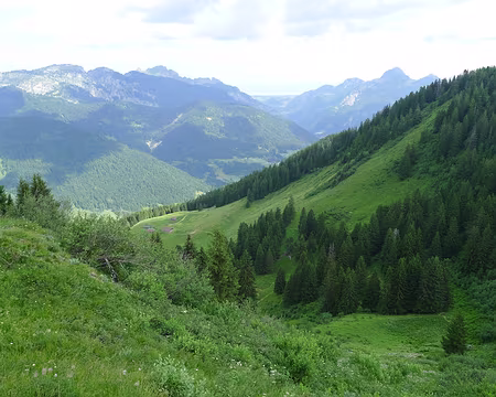 31 Vallon du Lavanchy, à l'ouest du Paradis.