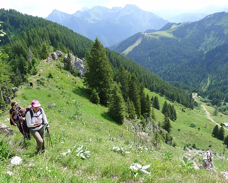 32 Les chalets des Follys, cette fois vus du haut.