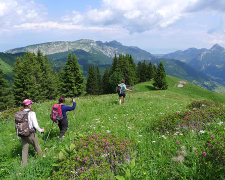34 ... et tantôt débonnaire.