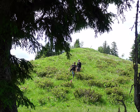 35 Sous la Grande Pointe.